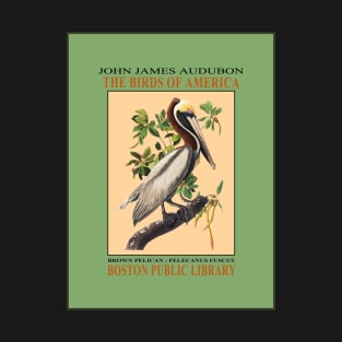 Audubon Pelican Exhibition Print T-Shirt