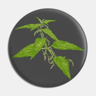 Care, stinging nettle! Pin