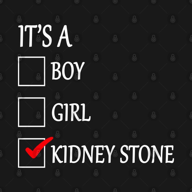 Kidney Stone Funny Checklist Gift by savariya