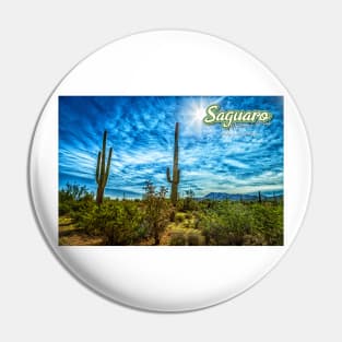 Saguaro National Park Pin