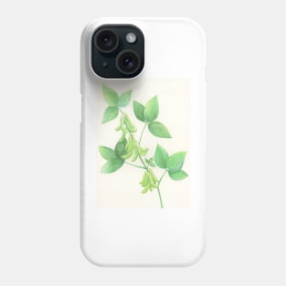 Soy Beans Phone Case