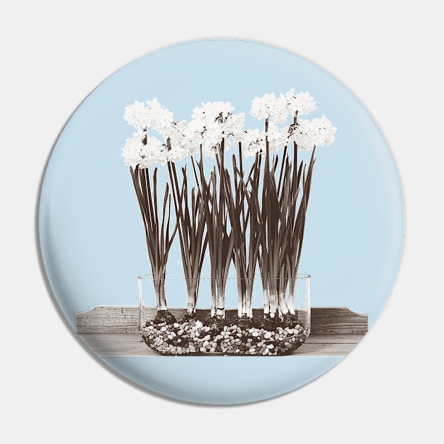 Paperwhites Pin by ericamhf86