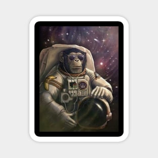 Space Monkey Magnet