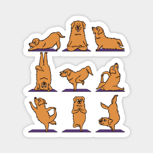 Golden Retriever Yoga Magnet