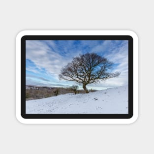 Muggleswick Tree Magnet