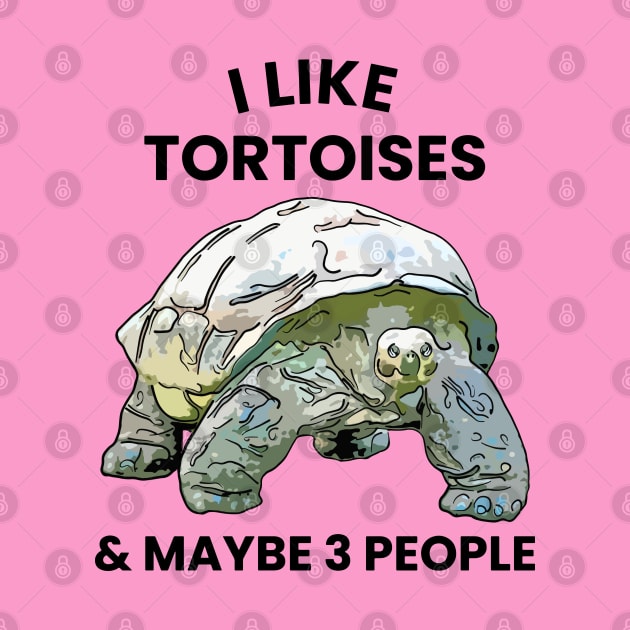 I Like Tortoises and Maybe 3 People by ardp13