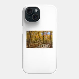 The Footbridge in the Autumn Woodland Phone Case