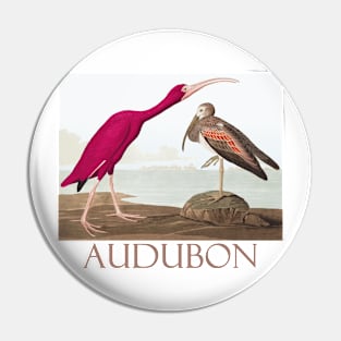 Scarlet Ibis by John James Audubon Pin