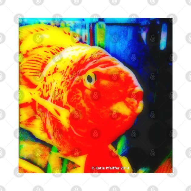 Pop Art Love Fish by Kater