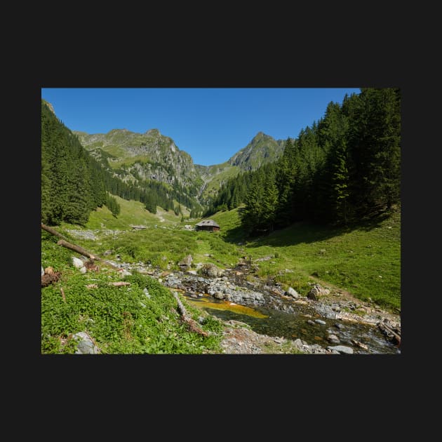 Wooden house in a mountain landscape by naturalis