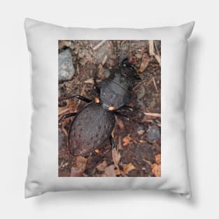 Greater Night-stalking Tiger Beetle Pillow