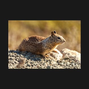 Ground Squirrel T-Shirt