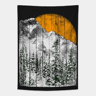 Winter sun Tapestry