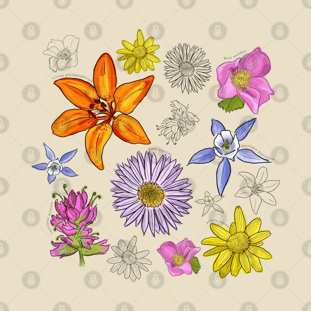 Wildflower Pattern by unclelindsey