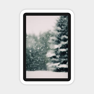 Winter Daydream #3 Magnet