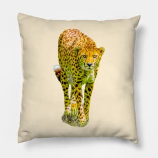 Stalking Cheetah Pillow