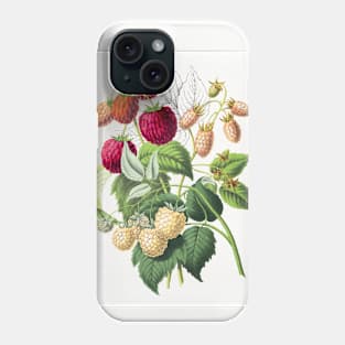 Vintage strawberry illustration Phone Case