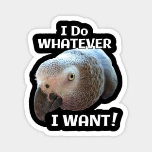 African Grey Parrot - Do Whatever I Want! Magnet