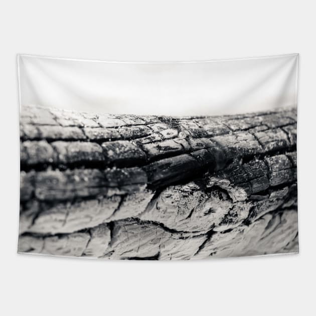 Log burned in bonfire Tapestry by wavemovies