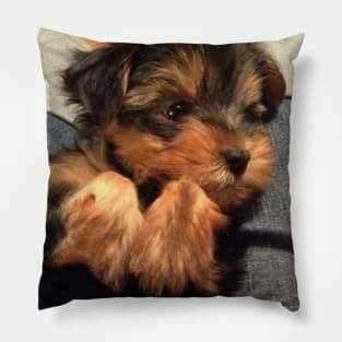 Cute Yorkie Puppy Pillow