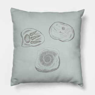 Fossils (no text) Pillow