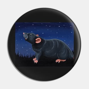 Grey Rat Stargazing Pin