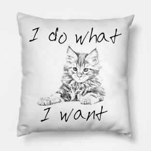 I do what I want Pillow