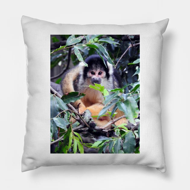 Squirrel Monkey Pillow by kirstybush