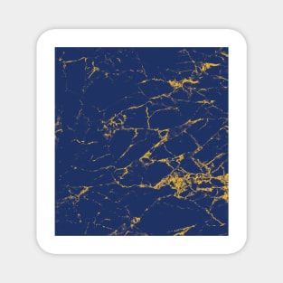 Blue and Yellow Marble Texture Magnet