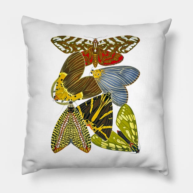 Butterflies Watercolor #11 Pillow by olemanner