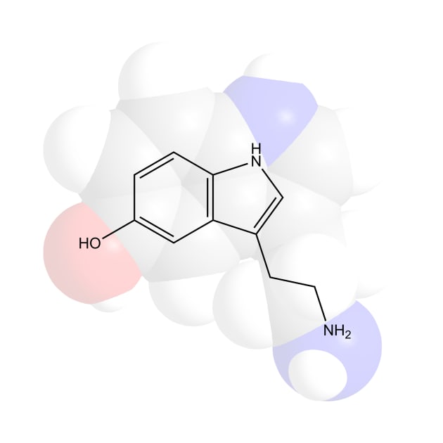 Serotonin Molecule Chemistry by ChemECool