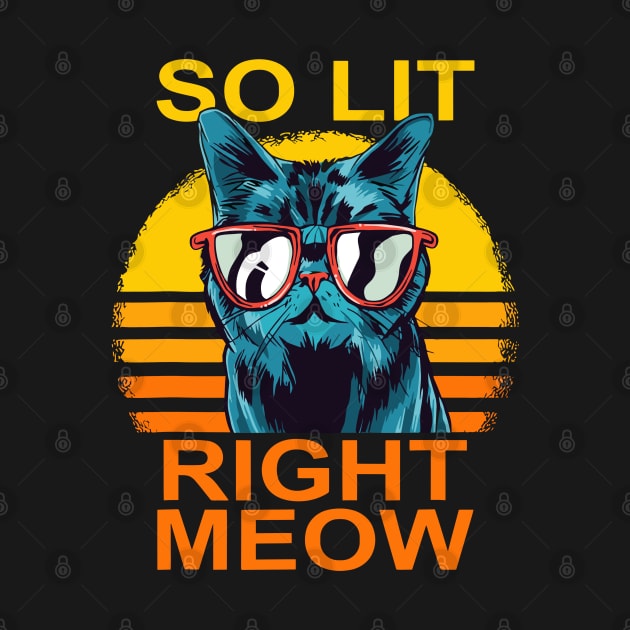 So Lit Right Meow by RendyPratama