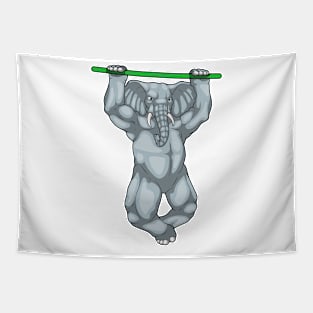 Elephant Bodybuilder Pull ups Bodybuilding Tapestry