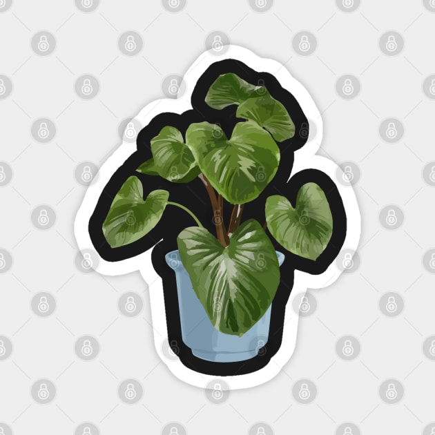 Philodendron Melanoneuron Magnet by gronly