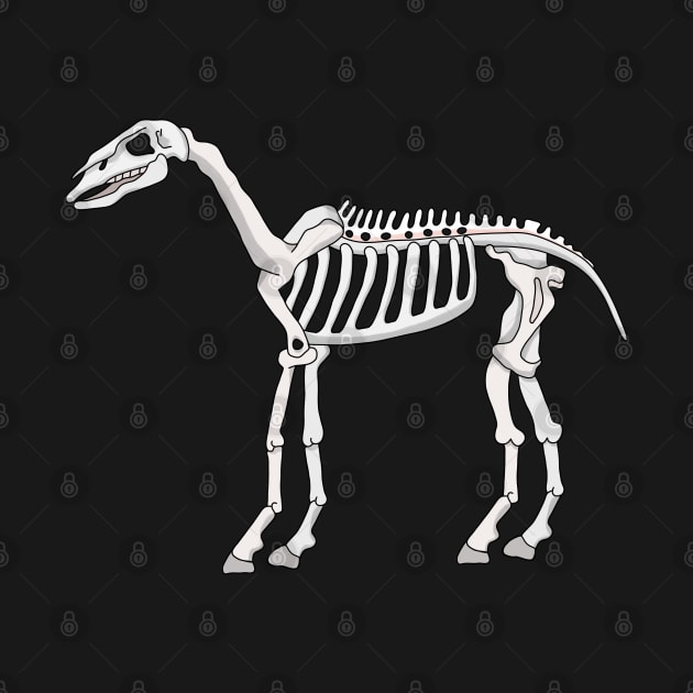 A Skeleton of a Horse by DiegoCarvalho