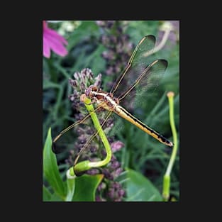 Dragonfly T-Shirt