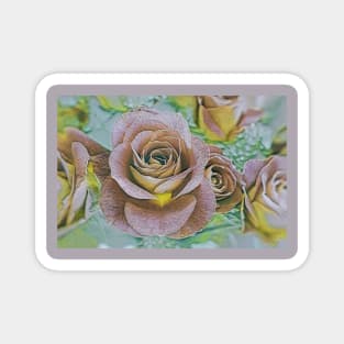 Roses No.1-27 Magnet