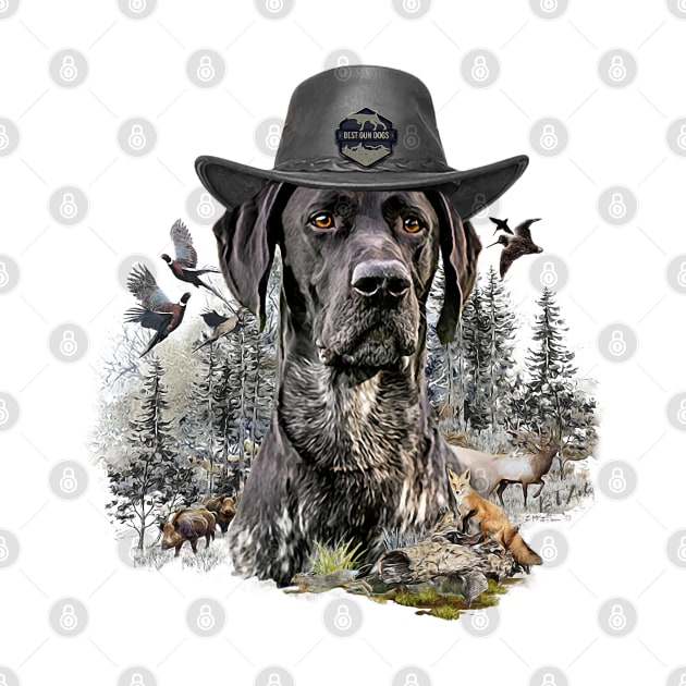 German Shorthaired Pointer,  Hunting dog by German Wirehaired Pointer 