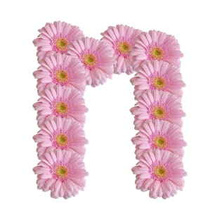 Letter n Pink Gerbera Daisy T-Shirt