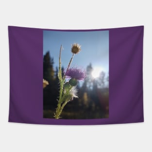 Thistle Tapestry