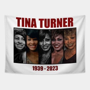 Tina Turner Evolution Photo Vintage Aesthetic // Queen of rock and roll Tapestry