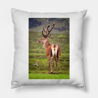 Scottish Deer Pillow