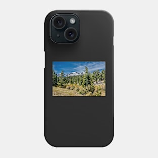 A Day In The Park With A View Phone Case