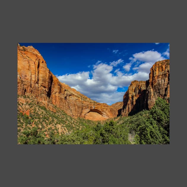 Zion National Park by Rob Johnson Photography