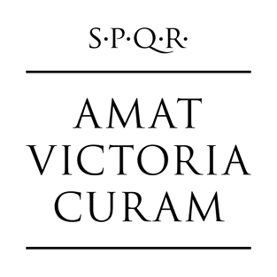 Latin quote Amat victoria curam T-Shirt