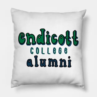 Endicott college alumni Pillow