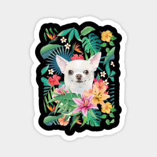 Tropical Short Haired White Chihuahua 4 Magnet