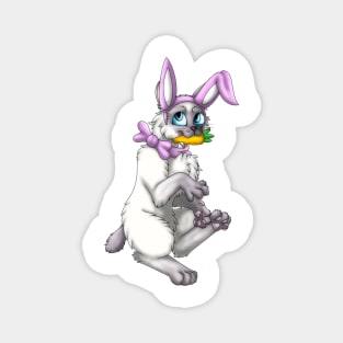 Bobtail BunnyCat: Lilac Point (Pink) Magnet