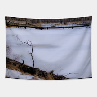 Frozen pond Tapestry