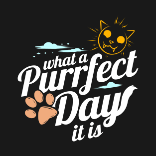 Sunny Cat And Cat Paw For Perfect Day On Purrsday T-Shirt